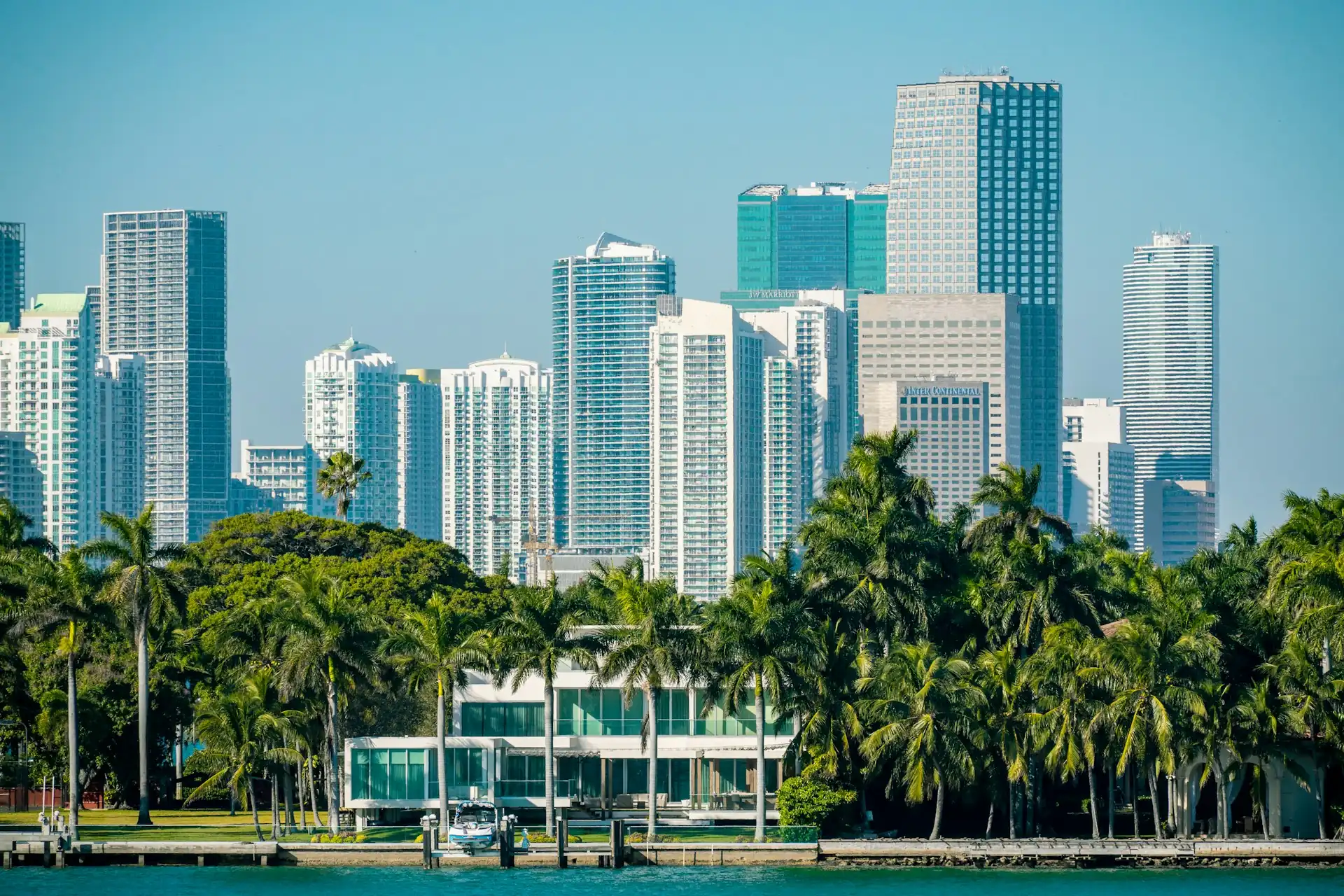 South Florida high-rises behind a line of palm trees (representative image)